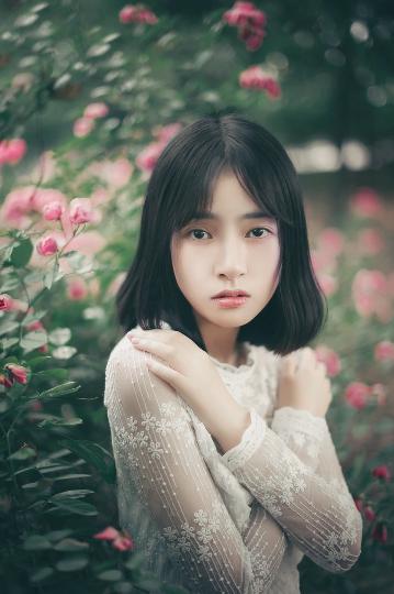 青青河边草高清免费观看