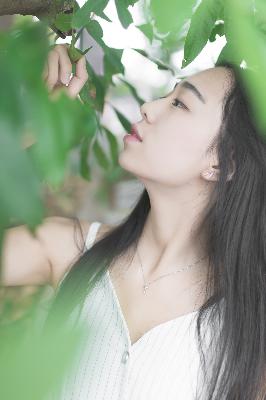 三年在线观看大全免费高清